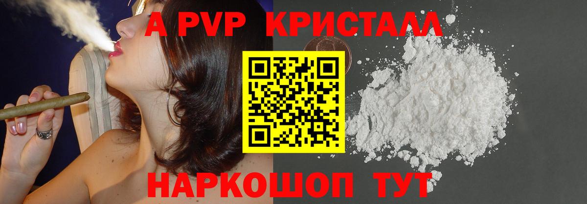 Alfa_PVP СК Шадринск