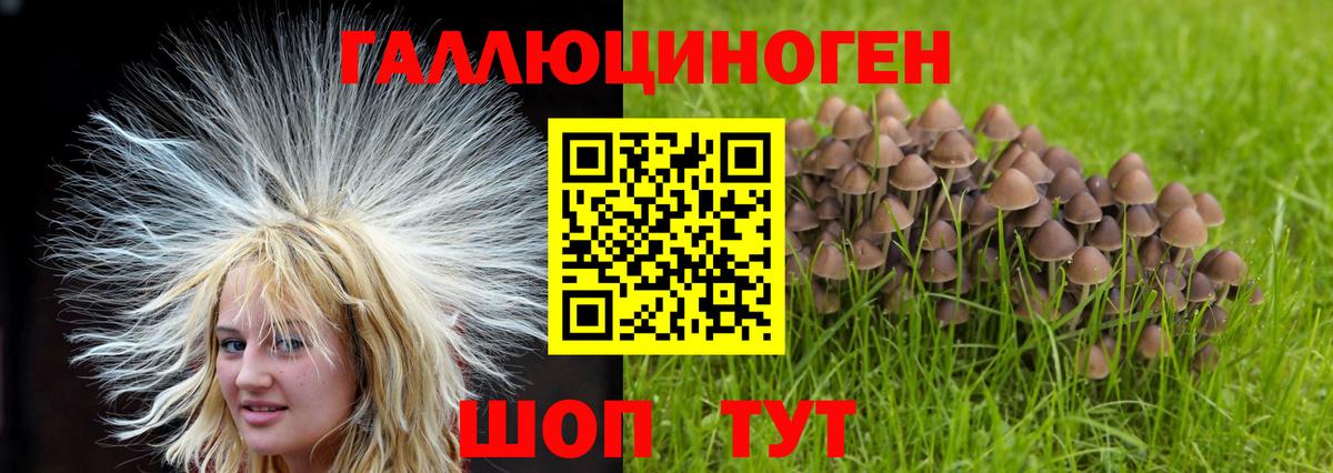где продают наркотики  Псилоцибиновые грибы MAGIC MUSHROOMS  Шадринск  Вход с VPN  Псилоцибиновые грибы Magic Shrooms 