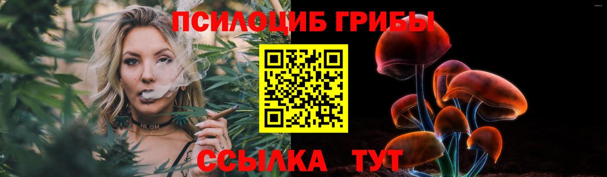 Галлюциногенные грибы Magic Shrooms Шадринск